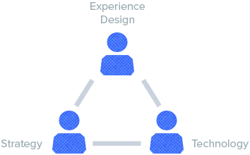 Varied disciplines in each team